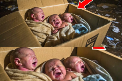 1990’da çöplükte bulunan üçüzler ayrıldı… 35 yıl sonra tesadüf onları yeniden buluşturdu