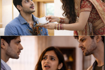 लड़की को ये रिश्ता पसंद नहीं था इसलिए चाय गिरा दिया लड़का जिद ठान लिया शादी करने के लिए आगे जो हुआ..