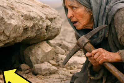 17 YIL ÇALIŞTIКTAN SONRA İŞE YARAMAZ BİR ARAZİ ALIYOR… TOPRAKTA TUHAF BİR ŞEY DUYANA KADAR