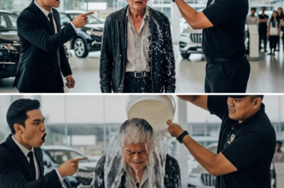 “Minalas ang Boss ng Dealer! Pinalayas ang Mukhang Mahirap na Matanda—Di Niya Alam, May Lihim Pala na Magpapabagsak sa Negosyo!”