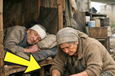 “Bumalik ang Anak Bilang Mataas na Opisyal—Ngunit Natagpuan ang Mga Magulang na Namamalimos”