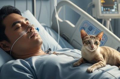 “Isang Munting Pusa ang Lumapit sa Bilyonaryong Walang Malay—At Binago ang Kapalaran”