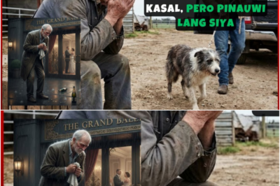 NAGBENTA NG ALAGANG HAYOP ANG AMA PARA MAKAPUNTA SA KASAL, PERO PINAUWI LANG SIYA