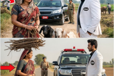 जिस पति को मोची समझकर छोड़ गई पत्नी… वही 10 साल बाद कलेक्टर बनकर पहुँचा पत्नी की झोपड़ी, फिर…