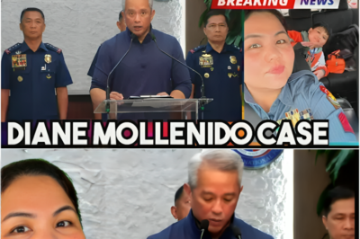 GRABE! GANITO PALA TUNAY na NANGYARI kay DIANE MOLLENIDO CASE UPDATE at ang TOTOONG MOTIBO