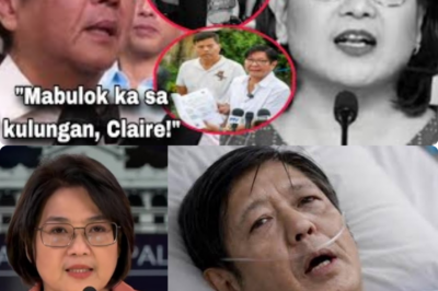 Bongbong Marcos, may TANING na ang BUHAY ayon MISMO kay CLAIRE CASTRO! BUONG DETALYE SINIWALAT NA!