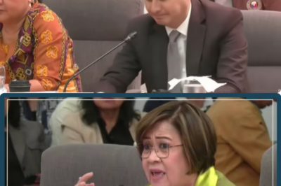 De Lima finds 2nd impeachment rap vs Marcos has sufficient factual allegations