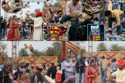 Punjab Wedding पर उड़े 10 करोड़? | 8.5 Crore Viral Video का सच सामने आया