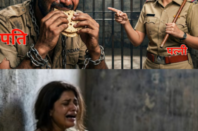 Chartered Accountant पति ने लिया घमंडी IRS पत्नी से बदला |