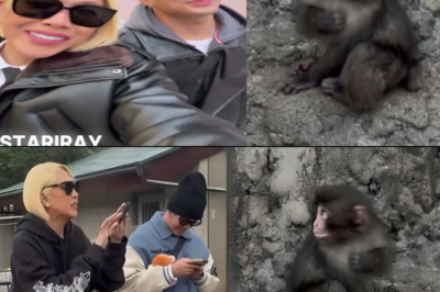 ACTUAL VIDEO ni Vice Ganda at Ion Perez PINUNTAHAN ANG VIRAL MONKEY na si Punch sa JAPAN!