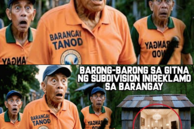 BABAE, PINABARANGGAY DAHIL SA BARONG-BARONG NYANG BAHAY!NANLAKI MATA NG TANOD NANG PASUKIN NILA ANG