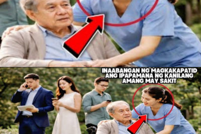 INAABANGAN NG MAGKAKAPATID ANG IPAPAMANA NG KANILANG AMANG MAY SAKIT, LAKING GULAT NILA NANG…