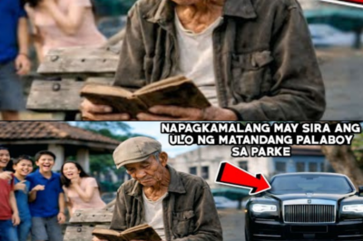 NAPAGKAMALANG MAY SIRA ANG ULO NG MATANDANG PALABOY SA PARKEPAHIYA SILA NANG MAGBIGAY PUGAY ANG…