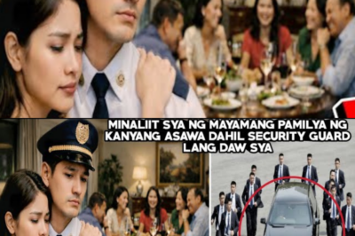 MINALIIT SYA NG MAYAMANG PAMILYA NG KANYANG ASAWA DAHIL SECURITY GUARD LANG DAW SYA, ISANG ARAW…