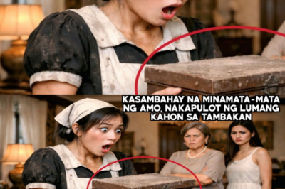 KASAMBAHAY NA MINAMATA-MATA NG AMO, NAKAPULOT NG LUMANG KAHON SA TAMBAKANDI NYA AKALAING ANG…