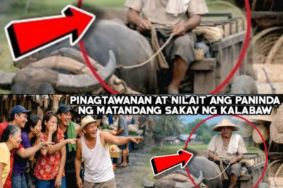 PINAGTAWANAN AT NILAIT ANG PANINDA NG MATANDANG SAKAY NG KALABAWNAGULAT SILA DAHIL PANINDA PA NITO..