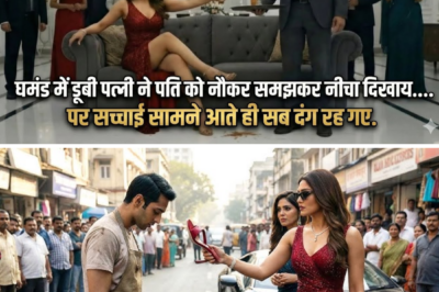 घमंड में डूबी पत्नी ने पति को नौकर समझकर नीचा दिखाय…..पर सच्चाई सामने आते ही सब दंग रह गए