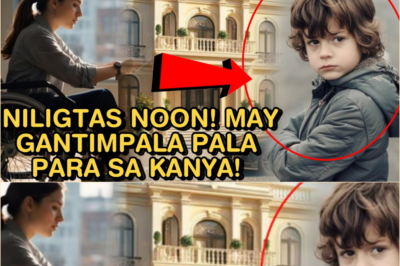 BABAE NA PILAY, NAGBAGO ANG BUHAY DAHIL SA BATANG INILIGTAS NOON!MAY GANTIMPALA PALAPARA SA KANYA!