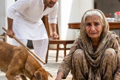 Nafarman Bete Ne bhoodhi Maa ko Kuttay k Sath iftari di | Emotional And lessonable story