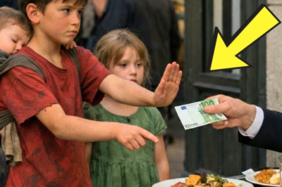 HUMINGI LANG SIYA NG TIRANG PAGKAIN—PERO SA ISANG GABI, IPINASA SA KANYA NG ISANG BILYONARYO ANG BUONG PAMANA AT BINAGO ANG LAHAT