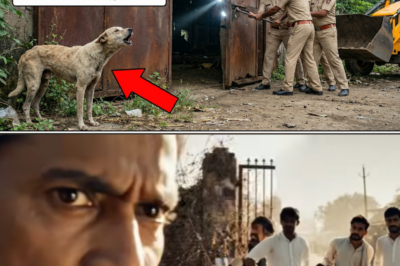 कुत्ता 3 साल से रोज़ फैक्ट्री के बाहर भौंकता था… दरवाज़ा खुला तो अंदर पुलिस को जो मिला होश उड़ गए