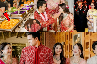 सचिन तेंदुलकर के बेटे की शादी में कितना हुआ खर्च! Arjun Tendulkar-Saaniya Wedding Venue Cost Reveal