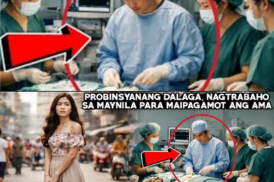 PROBINSYANANG DALAGA, NAGTRABAHO SA MAYNILA PARA MAIPAGAMOT ANG AMA, DI NYA ALAM NA ANG BINATANG…