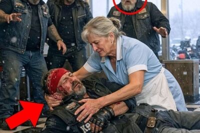 Acımasız Motorculardan Para Almayı Reddetti — Sabaha Cehennem Melekleri Tüm Sokağı Ablukaya Aldı