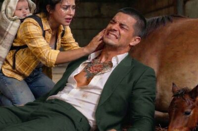 Bebeğiyle yalnızken bir mafya patronunu ve yeni doğmuş bir tayı kurtardı — her şey değişti