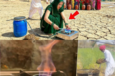 जब LPG गैस खत्म हो गई… तो एक बहू ने गोबर से जला दिया चूल्हा! LPG गैस सिलेंडर
