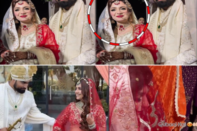 पहले सात फेरे फिर निकाह कुबूल! Saqib saifi and kanika Sharma Nikah Video | Kanika Sharma Marriage