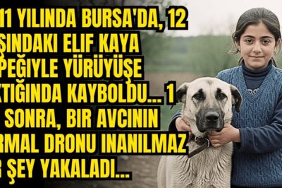 2011’de Bursa’da 12 yaşındaki Elif Kaya köpeğiyle gezintideyken kayboldu… 1 yıl sonra inanılmaz…